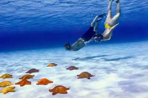 Cozumel: Private Snorkel Tour El Cielo + 3 Reefs Food Drinks
