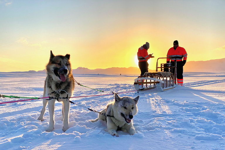 Island-Husky-Tour – Fahrt- und Kuschel-ErlebnisIsland: Husky-Schlittenfahrt und Kuschelerlebnis