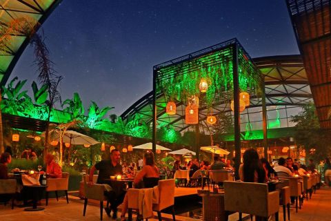 Marrakech : Dinner Show at Nouba Restaurant