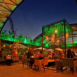 Marrakech : Dinner Show at Nouba Restaurant