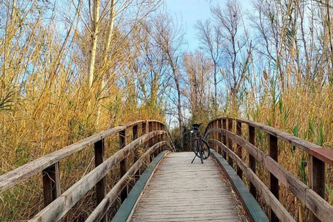 Active Bike Tour: River Turia Natural Park. Private Bike Tour 5 hours