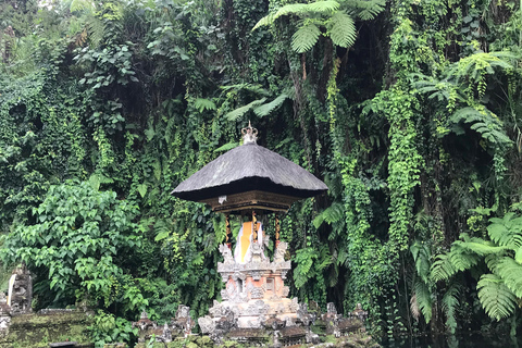 Ubud:Foresta delle scimmie, terrazze di riso, templi d&#039;acqua e cascate