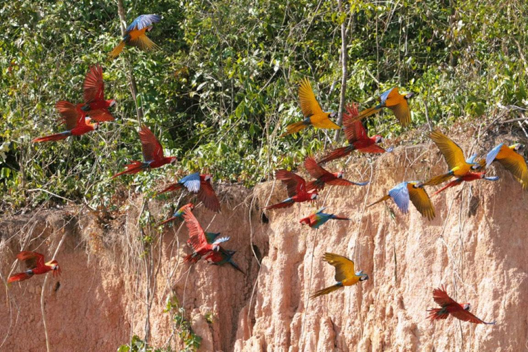 Depuis Cusco : 4 jours d&#039;excursion au lac Sandoval de Puerto Maldonado