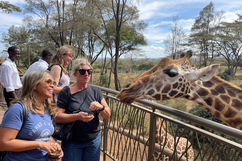 Nairobi: Giraffe Center And Karen Blixen Tour Giraffe Centre, Elephant Orphanage And Karen Blixen