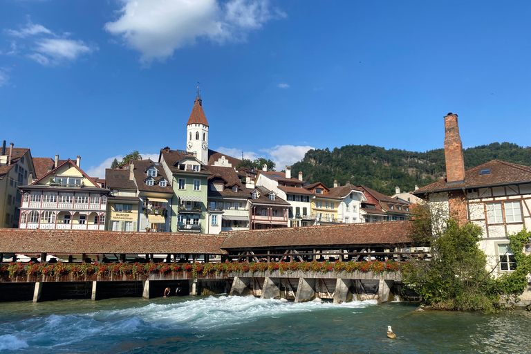 从苏黎世出发：豪华观光列车、卢塞恩和图恩之旅私人观光