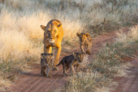 Mombasa/Diani: Taita Hills 2-Day Safari with Meals & Pickup