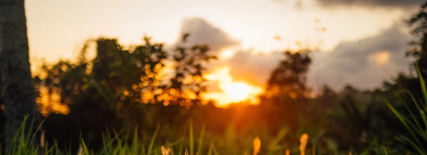 Tetebatu Day Tour: Waterfalls, Rice Fields & Local Life