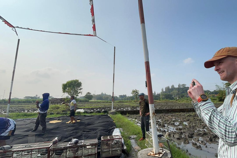Yogyakarta: Bike Tour, Pottery, Ricefield, Museum With Lunch Bike, Pottery Class, Rice fields, Museum (No Lunch)