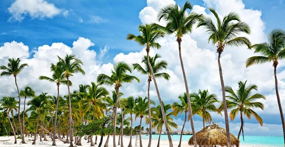 Punta Cana: Shopping & city Tour with Lunch and beach