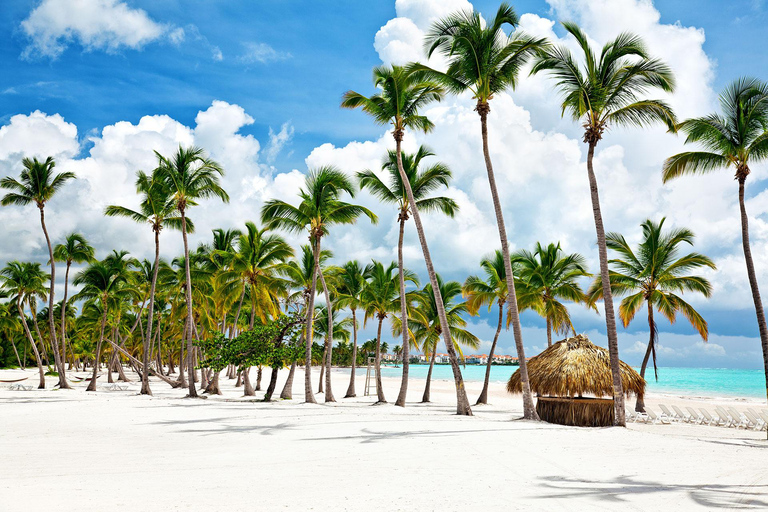 Punta Cana: Saona Island Tour with Lunch & Open Bar
