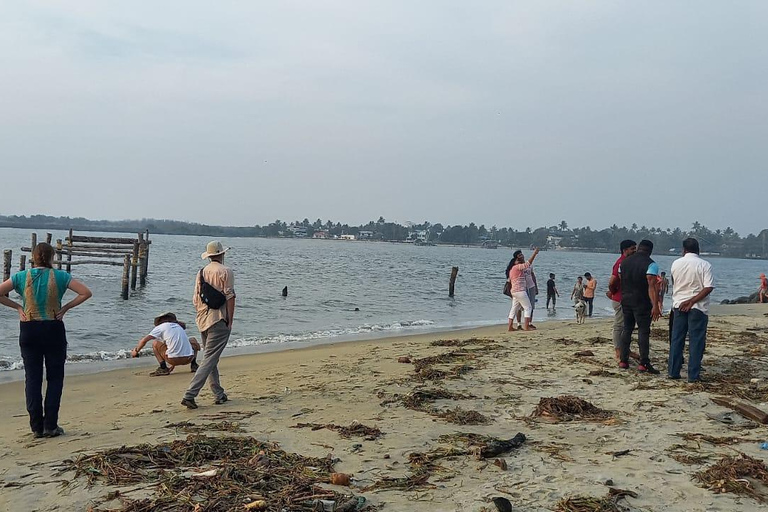 Kochi: Passeio turístico em Tuk-Tuk com serviço de busca no navio de cruzeiro