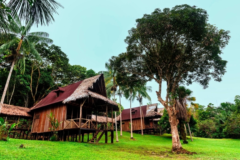 Depuis Iquitos : Circuit de 3 jours dans la réserve nationale de Pacaya Samiria