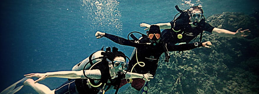 De Dubaï à Fujairah : 2 plongées avec barbecue et transfert