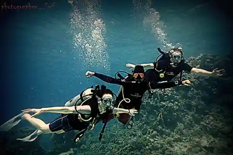 Plongée sous-marine, journée piscine, barbecue et nuit à Fujairah