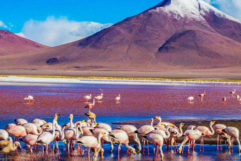 Depuis San Pedro de Atacama : 3 jours d&#039;excursion dans les salines d&#039;Uyuni