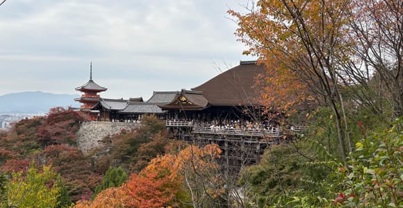 Kyoto: Private Luxury Guided Tour with Hotel Pickup