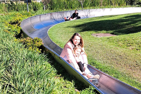 Kaapstad: Cool Running/Toboggan Adventure en ophaalservice vanaf je hotelKaapstad: Cool Running/Toboggan-avontuur en ophaalservice vanaf je hotel