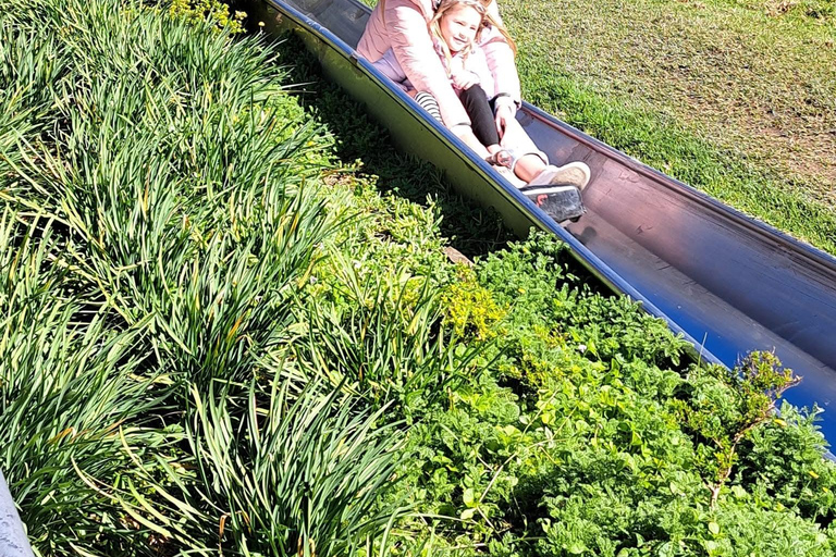 Kaapstad: Cool Running/Toboggan Adventure en ophaalservice vanaf je hotelKaapstad: Cool Running/Toboggan-avontuur en ophaalservice vanaf je hotel