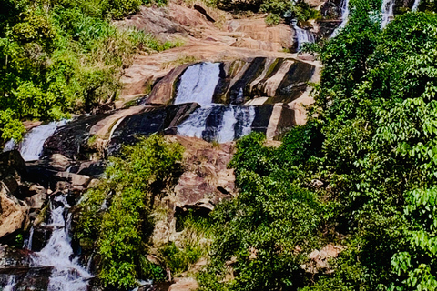 Visita aos pontos altos com degustação e ambiente verde em Ella