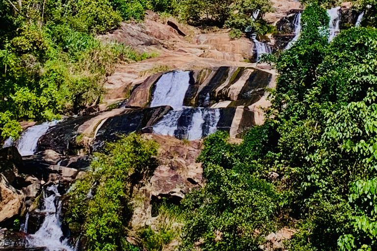 Tour con degustazione e ambiente verde a ella