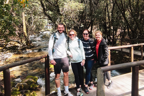 Rural biking & wine tasting tour