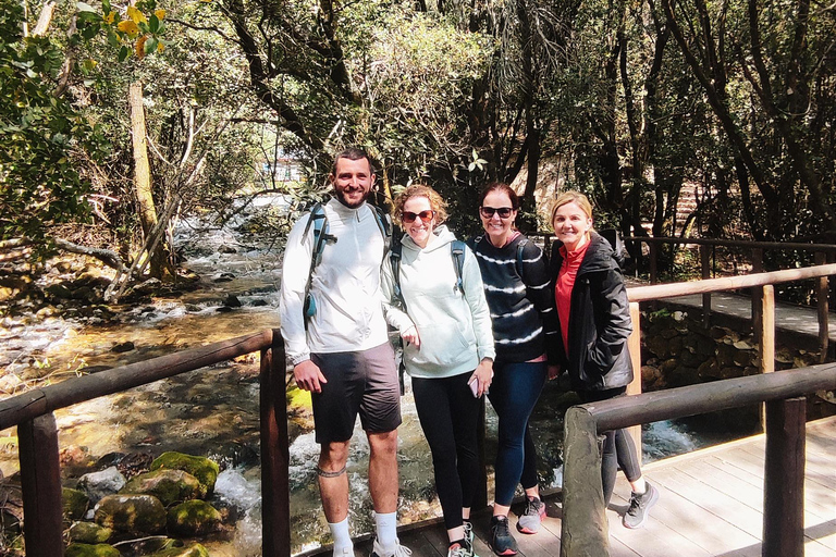 Rural biking & wine tasting tour