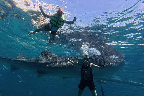 Cebu: Oslob Whaleshark Watching Canyoneering privé ophalen