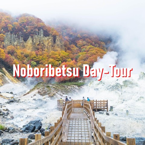 Visit From Sapporo 10-hour Customized Private Tour to Noboribetsu in Noboribetsu