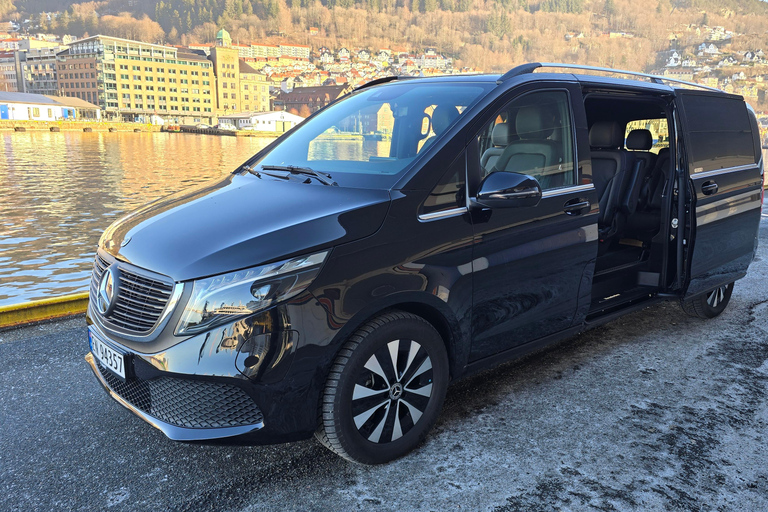 Bergen: City Tour & Hardangerfjord (Cruise ship Excursion) Bergen: City Tour & Hardangerfjord (German Language Tour)