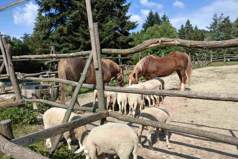 From Vienna: Bratislava & Countryside Guided Half Day Tour Private Tour