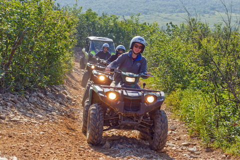 Denali ATV Wilderness Adventure - Guided ATV Tour Enclosed Side by Side ATV - 2 passengers