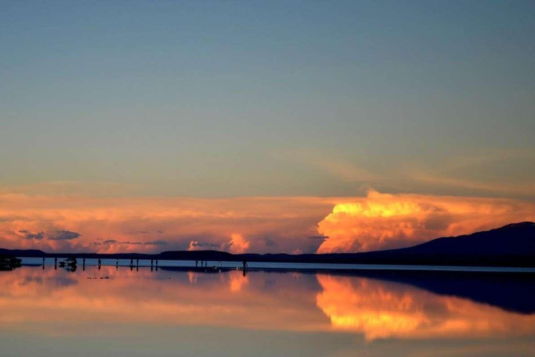 Från Uyuni: Gejser och Uyuni Salt Flats 3 dagar | Flamingos | Flamingos