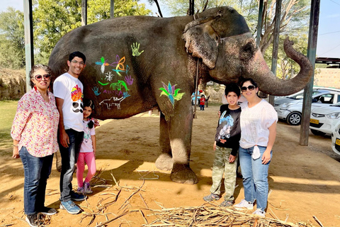 Elefun Best Elephant Sanctuary Jaipur Elephant Sanctuary