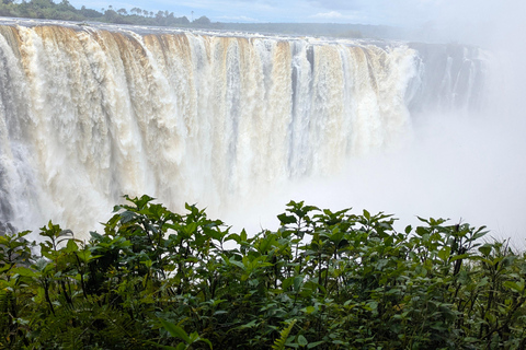 Victoria Falls Zimbabwe: Guided Walk for First-Time Visitors