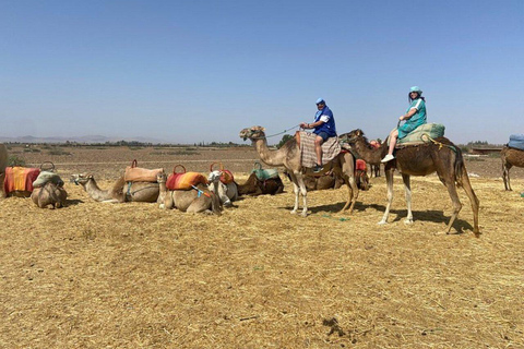 From Marrakech: Three Valleys, Waterfall, Atlas Mount’s Trip Three Valley, Waterfalls, Atlas Mountains Day Trip and Camel