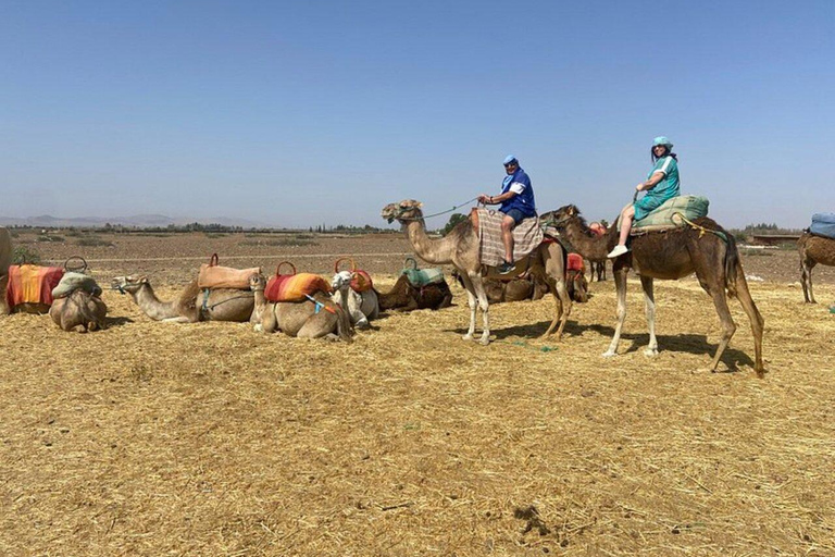 From Marrakech: Three Valleys, Waterfall, Atlas Mount’s Trip Three Valley, Waterfalls, Atlas Mountains Day Trip and Camel