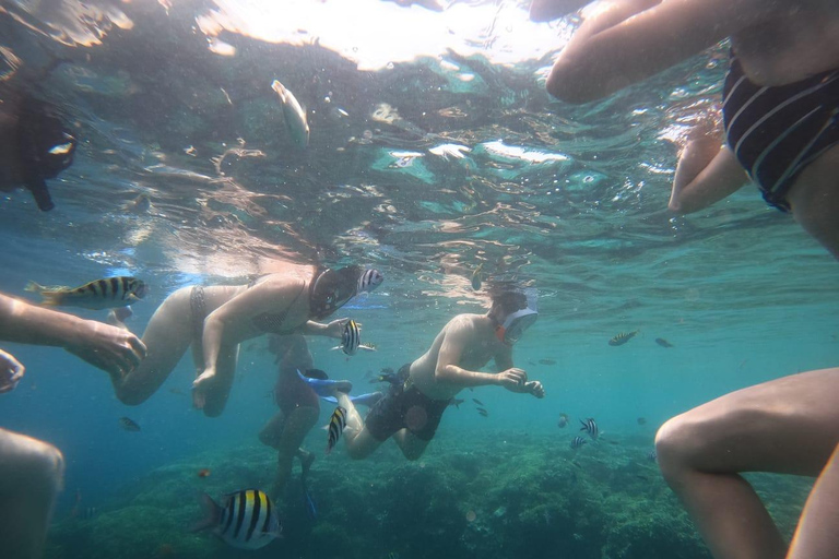 Banyuwangi: 1 Day Tour Snorkeling & Explore Menjangan Island From Banyuwangi : Snorkeling Menjangan Island drop off Bali
