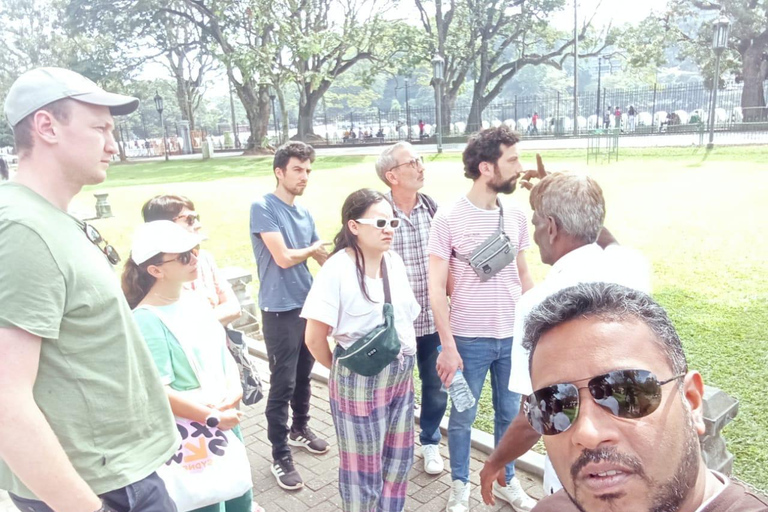 From Colombo/Negombo: Kandy ,Pinnawala ,Tea Factory Day Tour