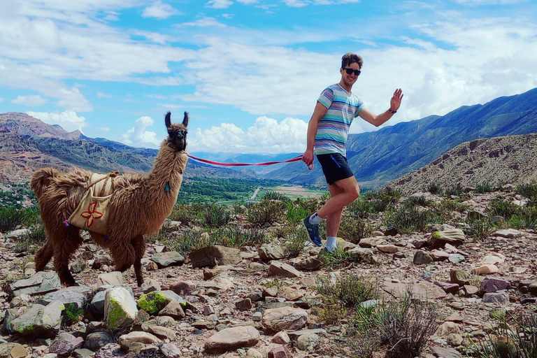 From Tilcara: Andean Trekking with Llamas