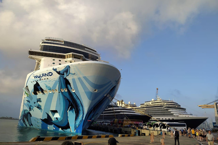 Cartagena: HISTORIC CITY TOUR for cruise-ship passengers