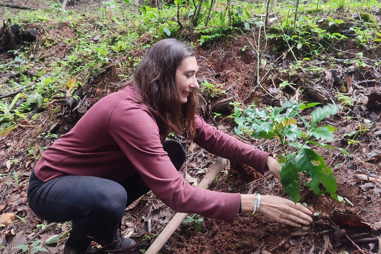 Chiang Mai: Spotkanie z dzikim gibonem u rodziny goszczącej KarenChiang Mai: 2-dniowe spotkanie z gibonami z Karen Homestay