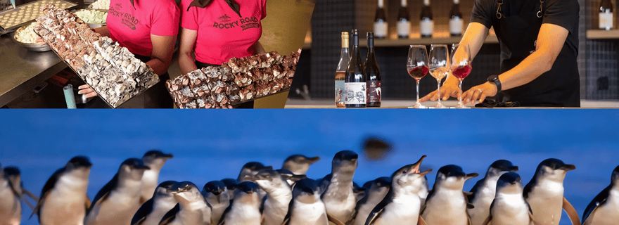 Melbourne : Découvrez la Parade des Pingouins et la Vallée de Yarra avec une Visite de Vignobles et de Chocolateries