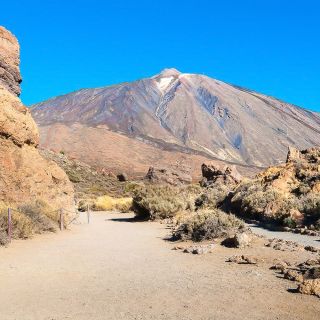 Tenerife: tour panorámico de 1 día Parque Nacional del Teide
