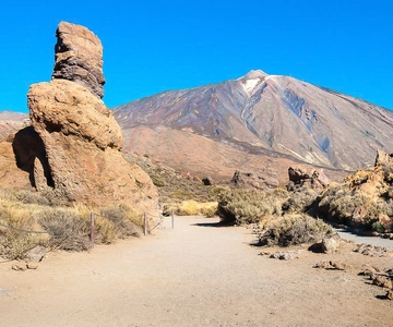 Tenerife: Teide National Park Full-Day Tour with Pickup