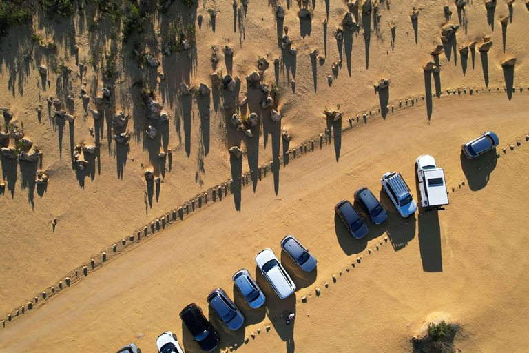 Koala, Lancelin, Wedge Island & Pinnacles Tour from Perth Pinnacles Desert, Sand Dunes, and Wedge Island Day Tour