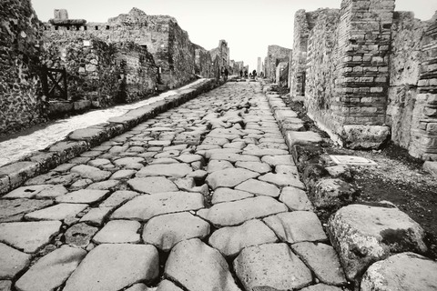 Naples: Pompeii and Mount Vesuvius Tour with Tickets