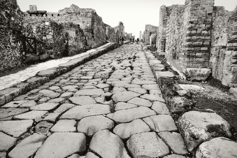 Naples: Pompeii and Mount Vesuvius Tour with Tickets