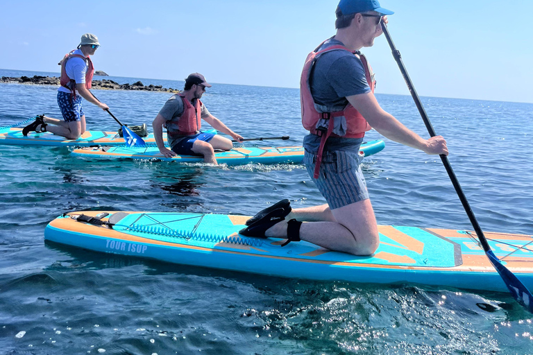 Ibiza: Tour guidato in SUP nella Riserva Naturale Marina