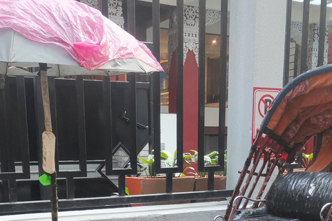 Katmandou : visite de Thamel en pousse-pousse et de la place Durbar