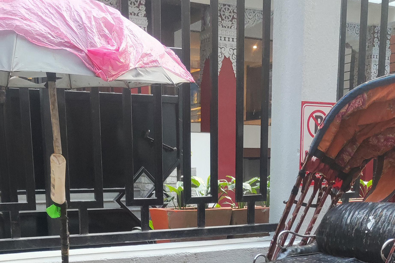 Katmandou : visite de Thamel en pousse-pousse et de la place Durbar